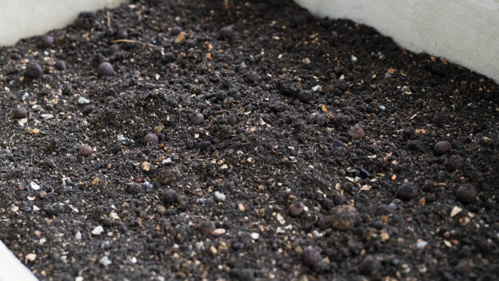 Rotten Egg Smell in Compost